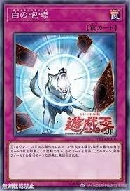 PP20-JP010 白之咆哮- (金亮)
