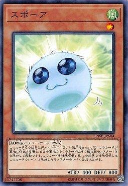 19SP-JP504 孢子 (亮面)